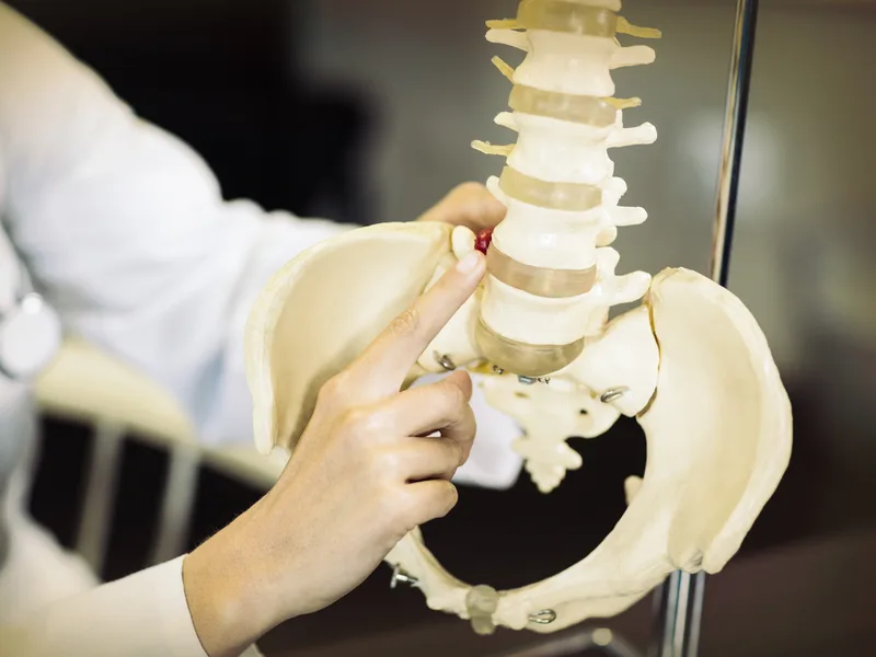 Gonstead Technique at Schomaker Chiropractic Clinic in Elk River
